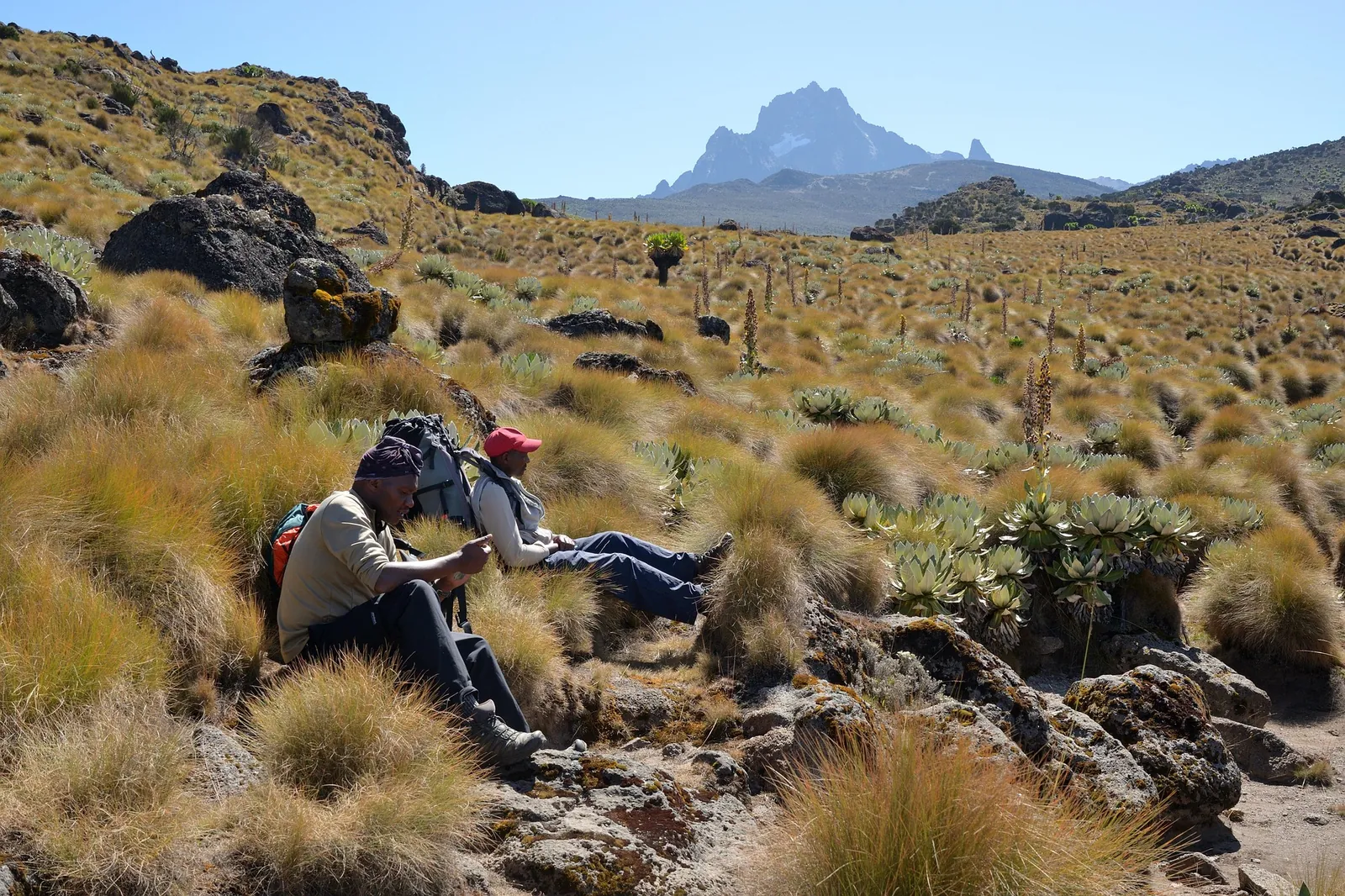 Mount Kenya landscape