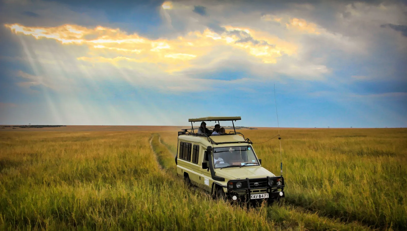 Safari vehicle in golden grass, Kenya